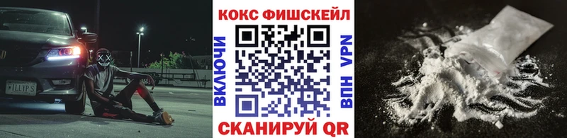 Купить где  Онега  КОКАИН 98% 