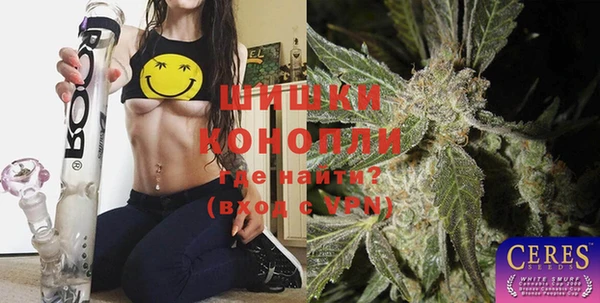 хмурый Елизово