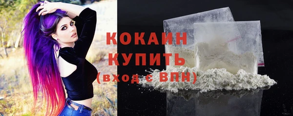 хмурый Елизово