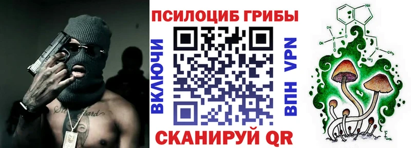 Купить  Онега  Псилоцибиновые грибы мицелий 