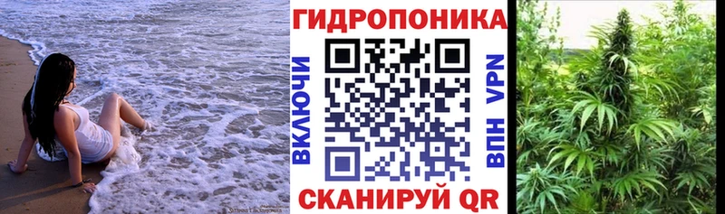 Купить закладки  Онега  Каннабис ГИДРОПОН 
